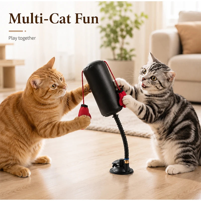 Interactive Cat Boxing Toy Multifunctional Entertainment for Self-Relaxation Fun Exercise Toy for Indoor Cats Kitten Activity